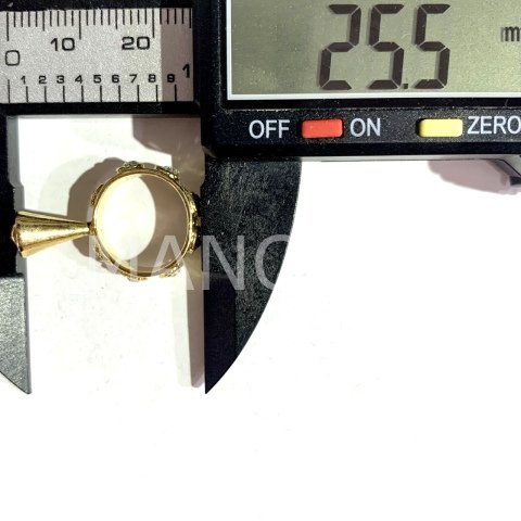 2,6cm. ZİRKONLU HALKA KOLYE APARATI