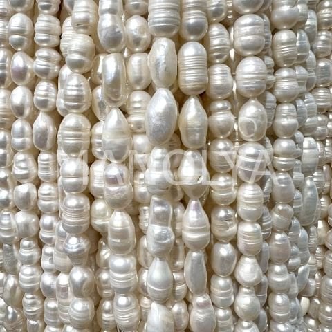 11x7mm. Kültür İncisi (no:6)