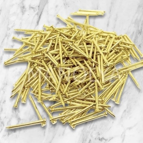 SARI DÜZ BAŞ FİLOGRAFİ ÇİVİSİ