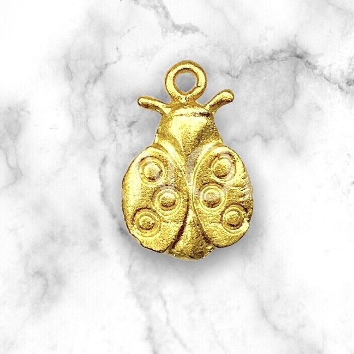 1,6cm YASSI UĞUR BÖCEĞİ